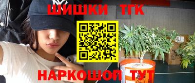 гидра Камышлов