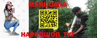 гидра Камышлов