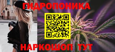 гидра Камышлов