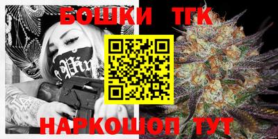 гидра Кандалакша