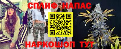 гидра Кандалакша