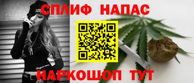 гидра Камышлов