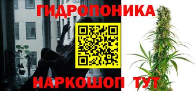 гидра Камышлов