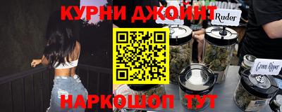 гидра Камышлов